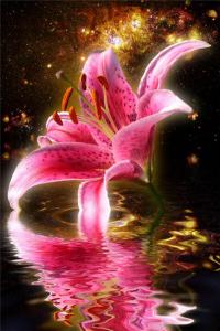 LilijaPlanet