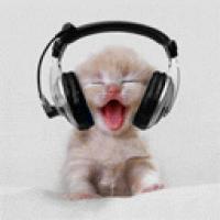 djmaximum
