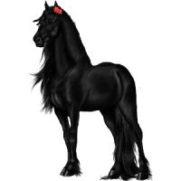 mad_horse