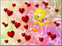 marina_glashkina