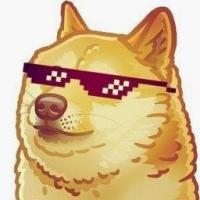 DogyStyle